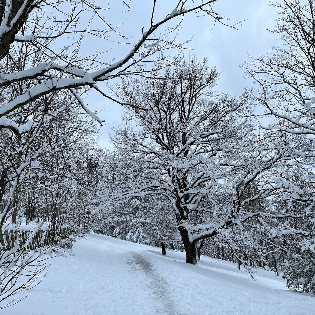 Parc de Montaud 1