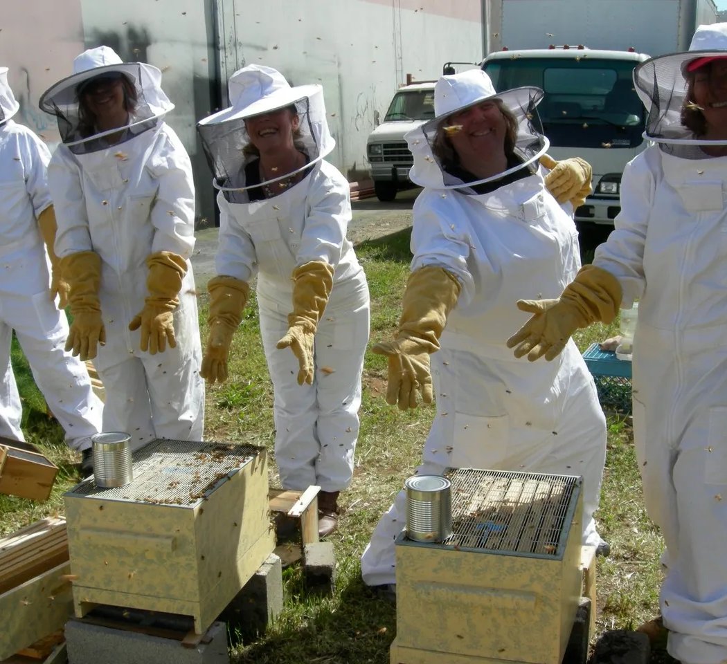 San Francisco Beekeepers Association 1