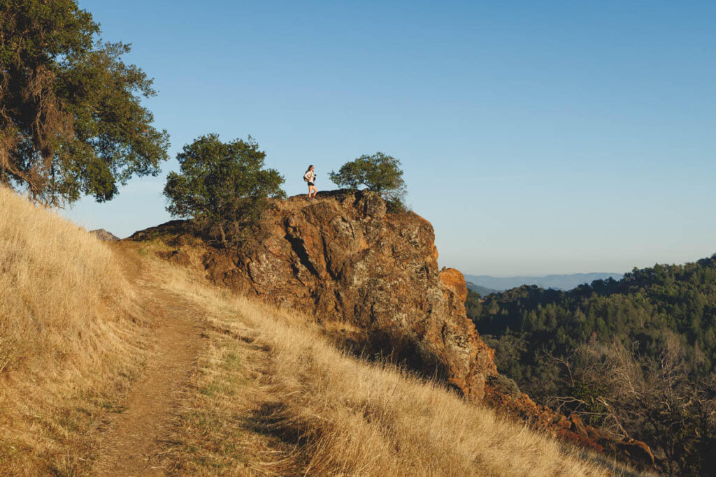 Meadow Vista Trail 1