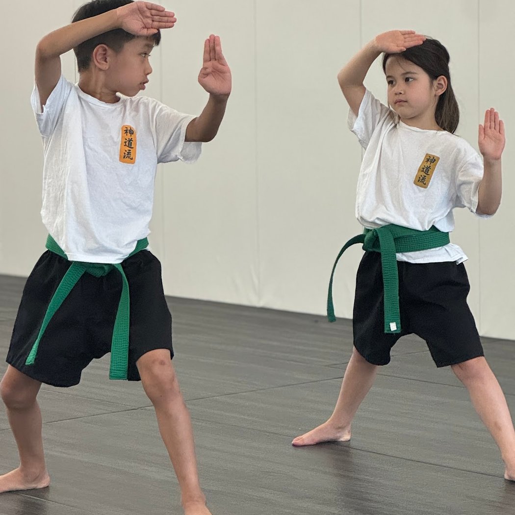 Shinkai Dojo 1