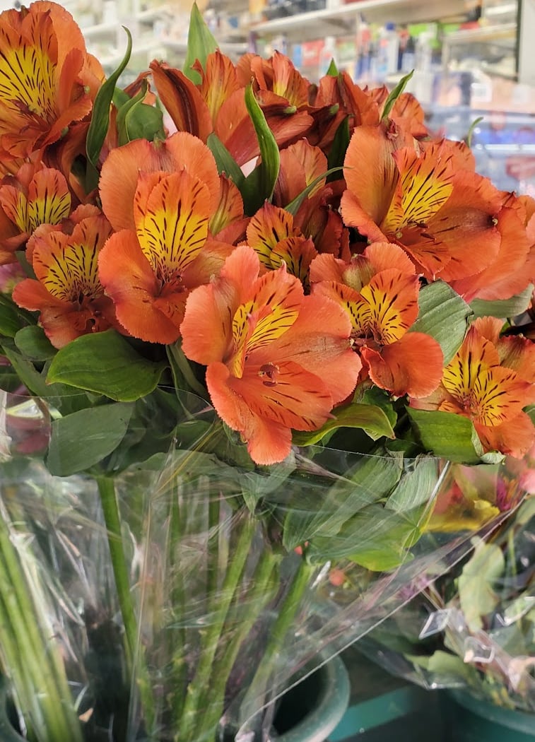Martinez Grocery 1