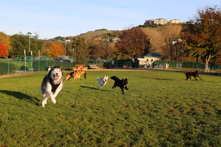 Dolores Huerta Park 2