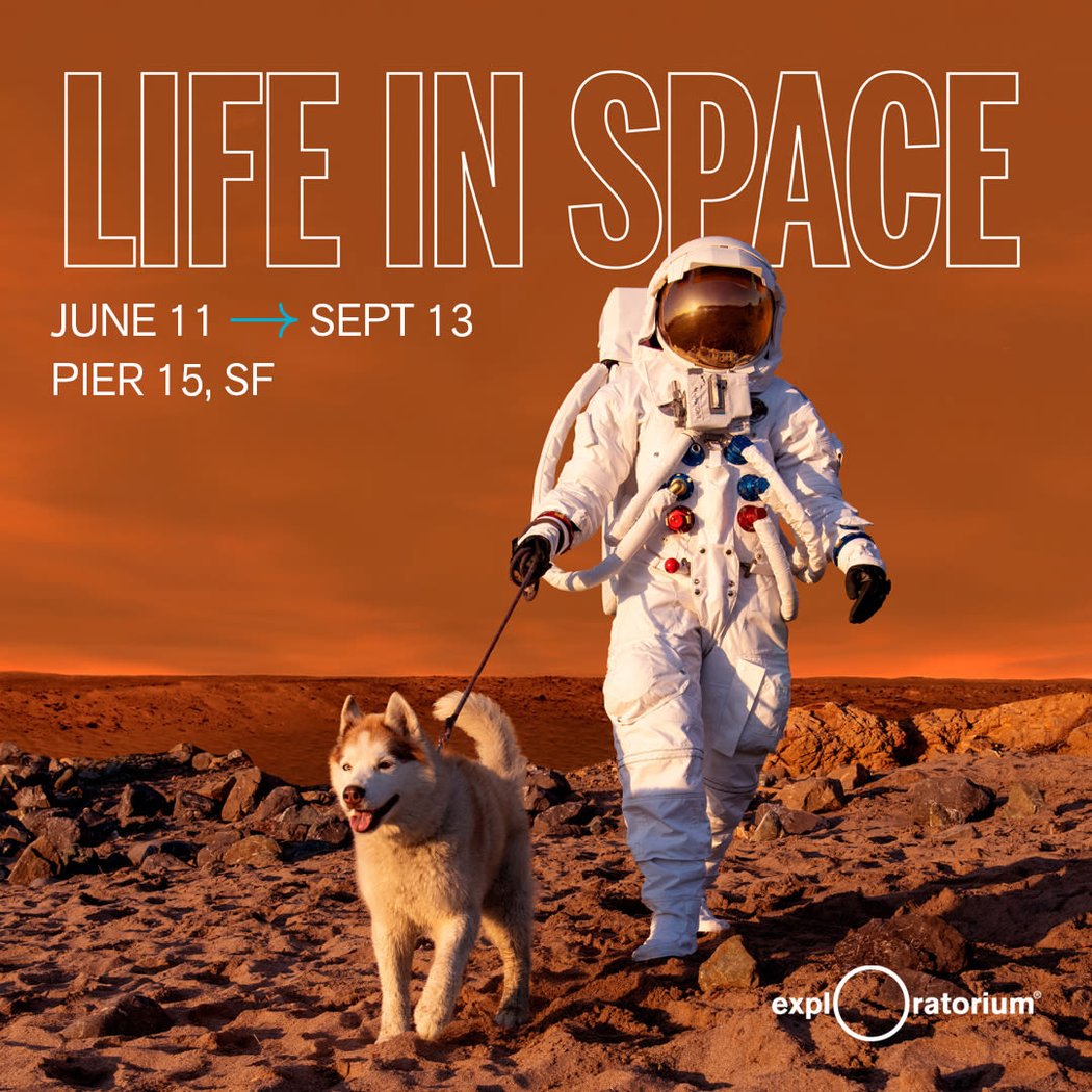 Life in Space