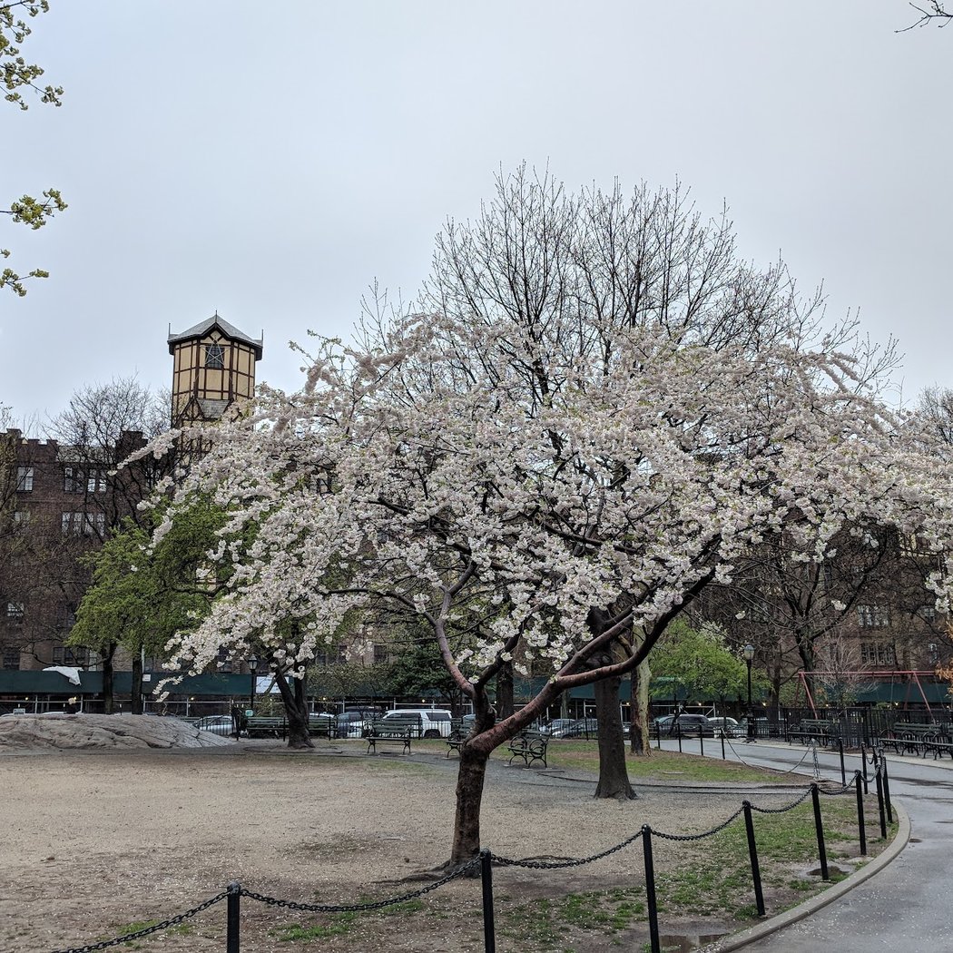 Bennett Park