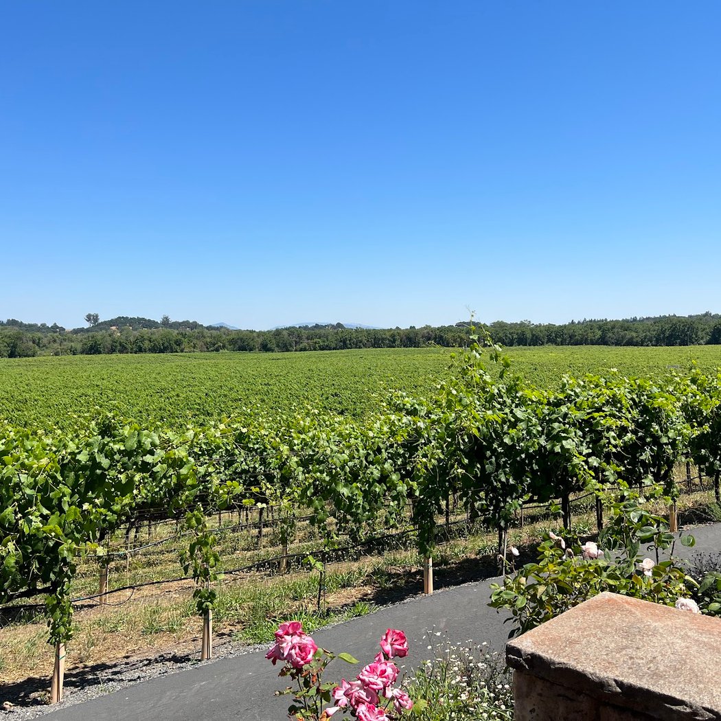 J Rochioli Vineyards & Winery 2