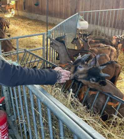 Le printemps à la ferme – Visite, atelier, dégustation 2
