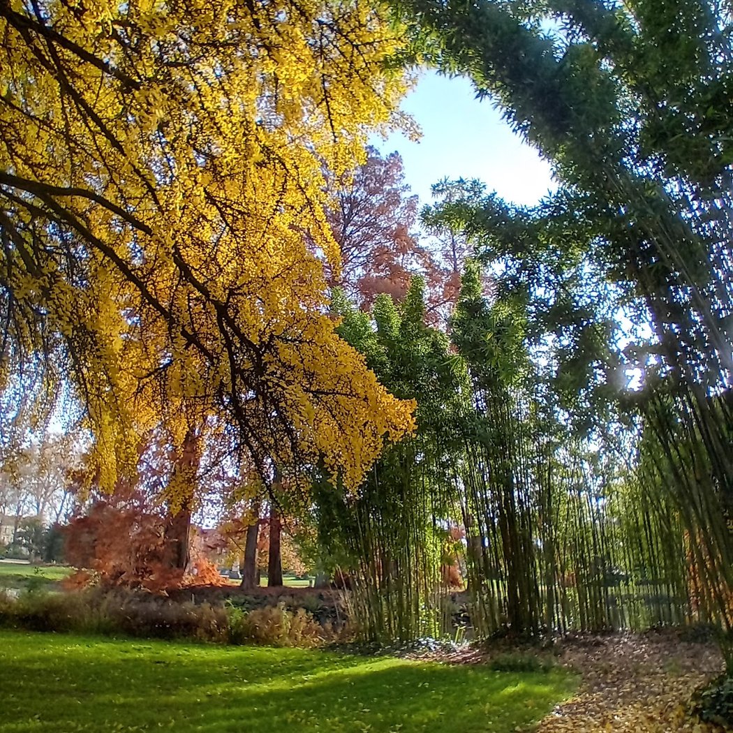 Jardin des Prébendes d'Oé 1