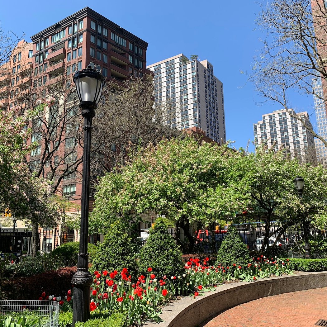 Rector Park 3