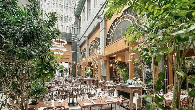 T. Brasserie 2