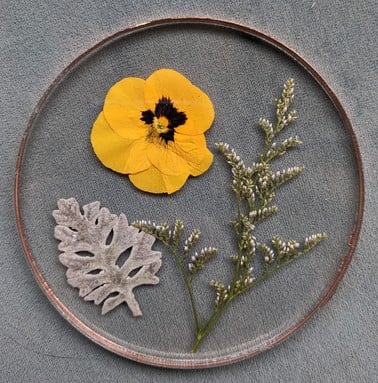 Pressed Flower Coasters 1