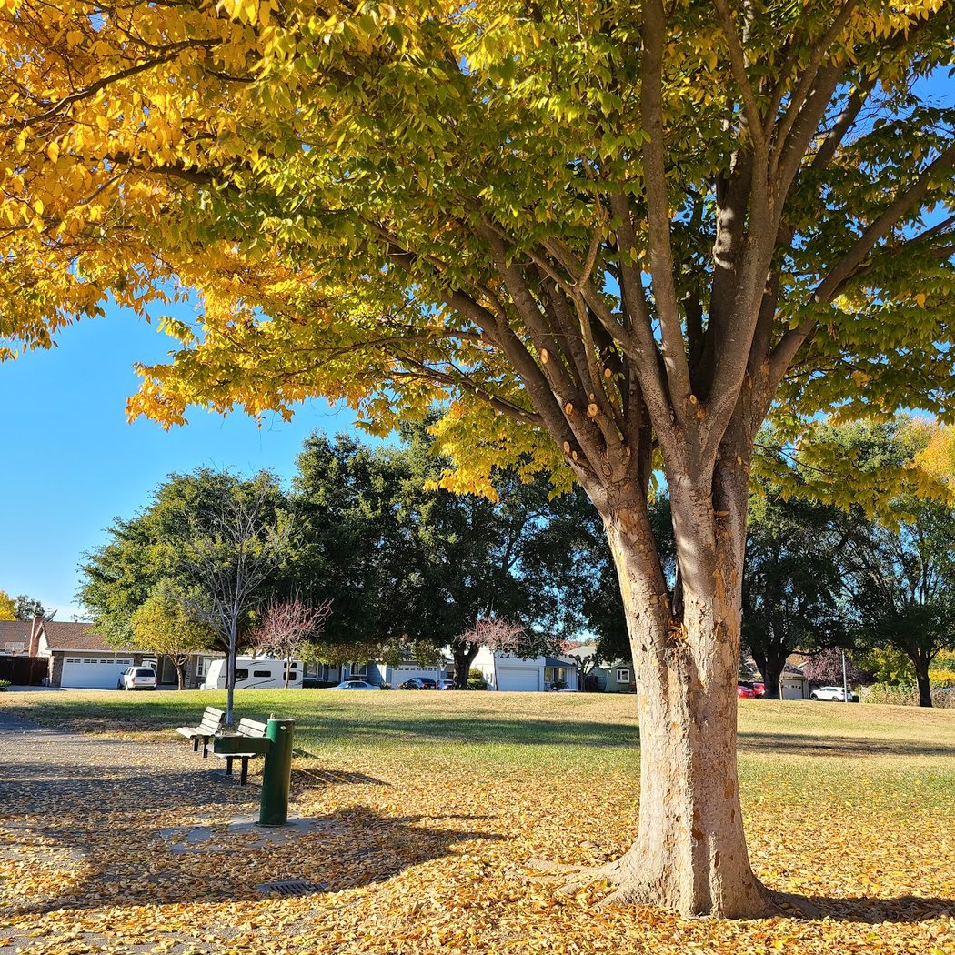 Maitland R Henry Neighborhood Park 3