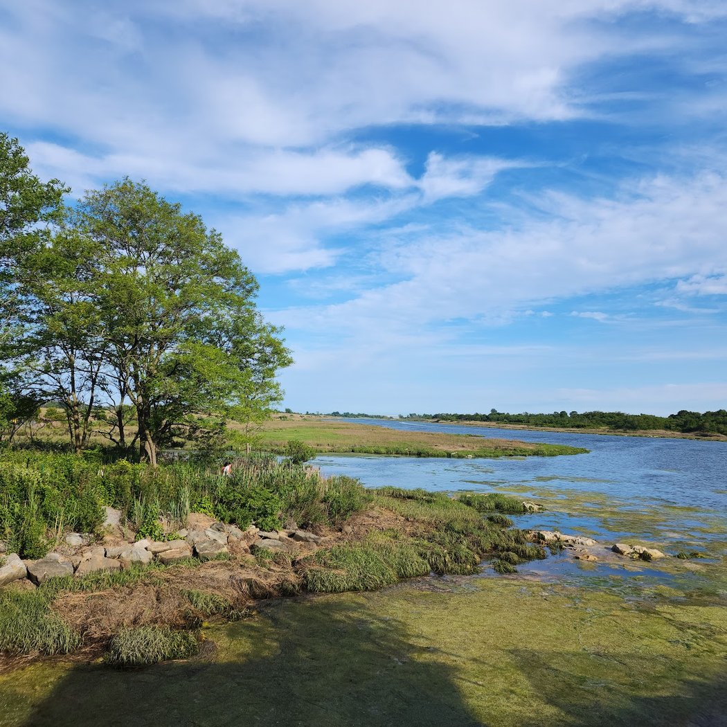 Marine Park Salt Marsh Nature Trail 1