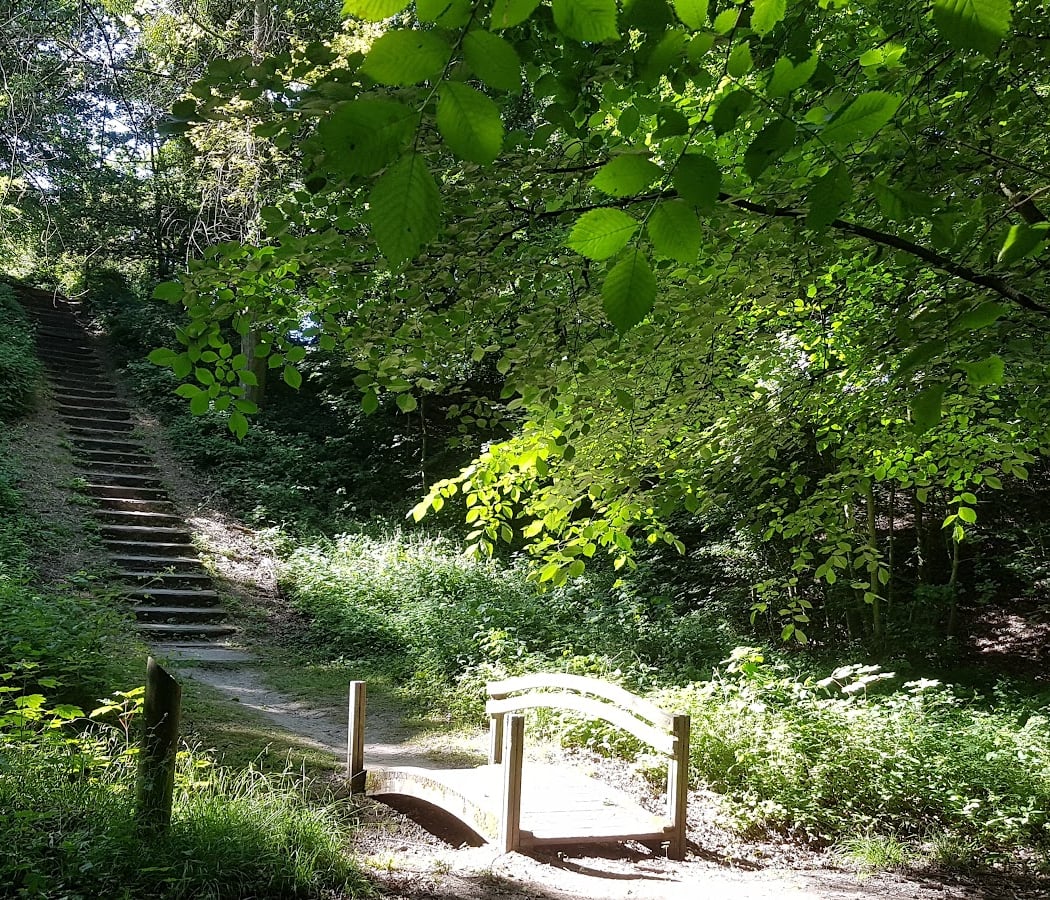 Parc de la Butte Verte 1