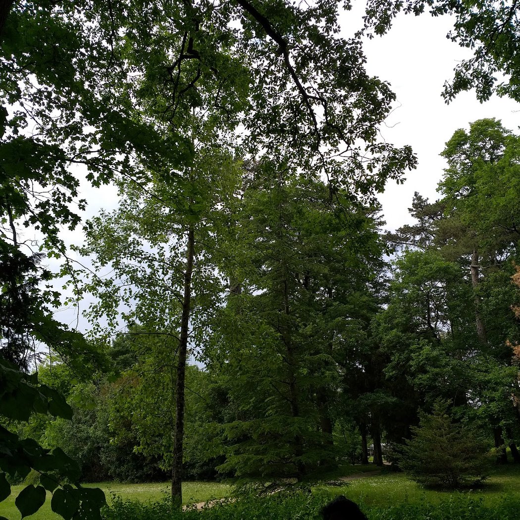 Guinguette du Parc 2