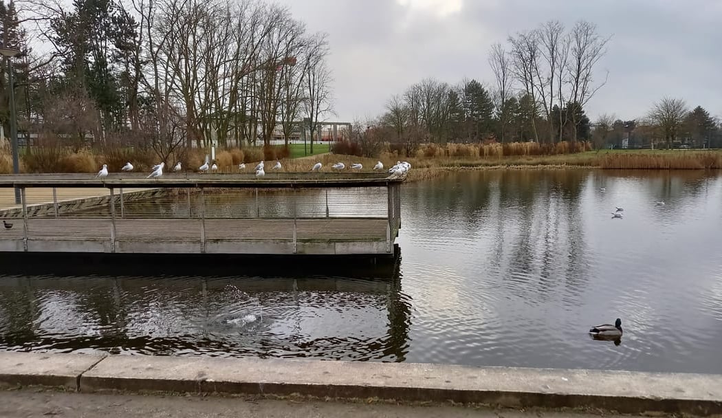 Parc François Mitterrand 2