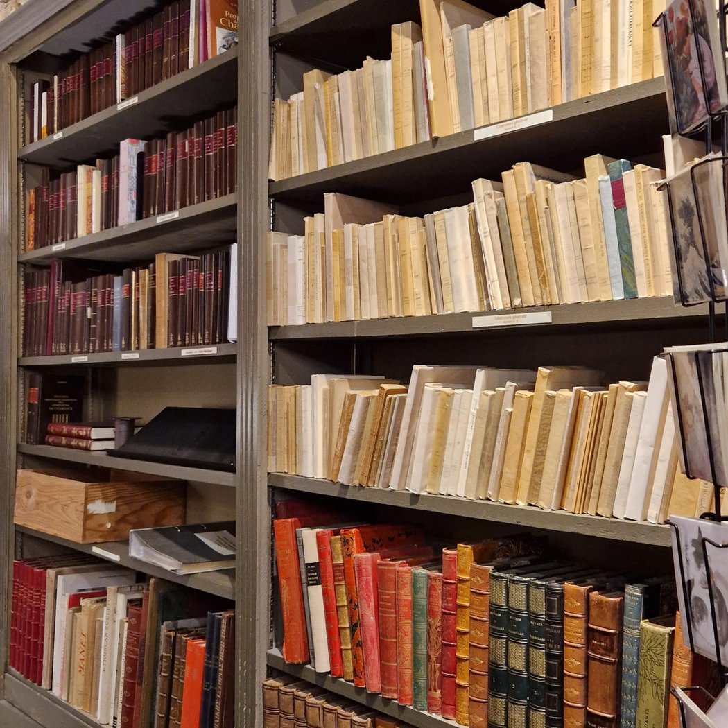 Jeanne Laffitte Bookstore 3