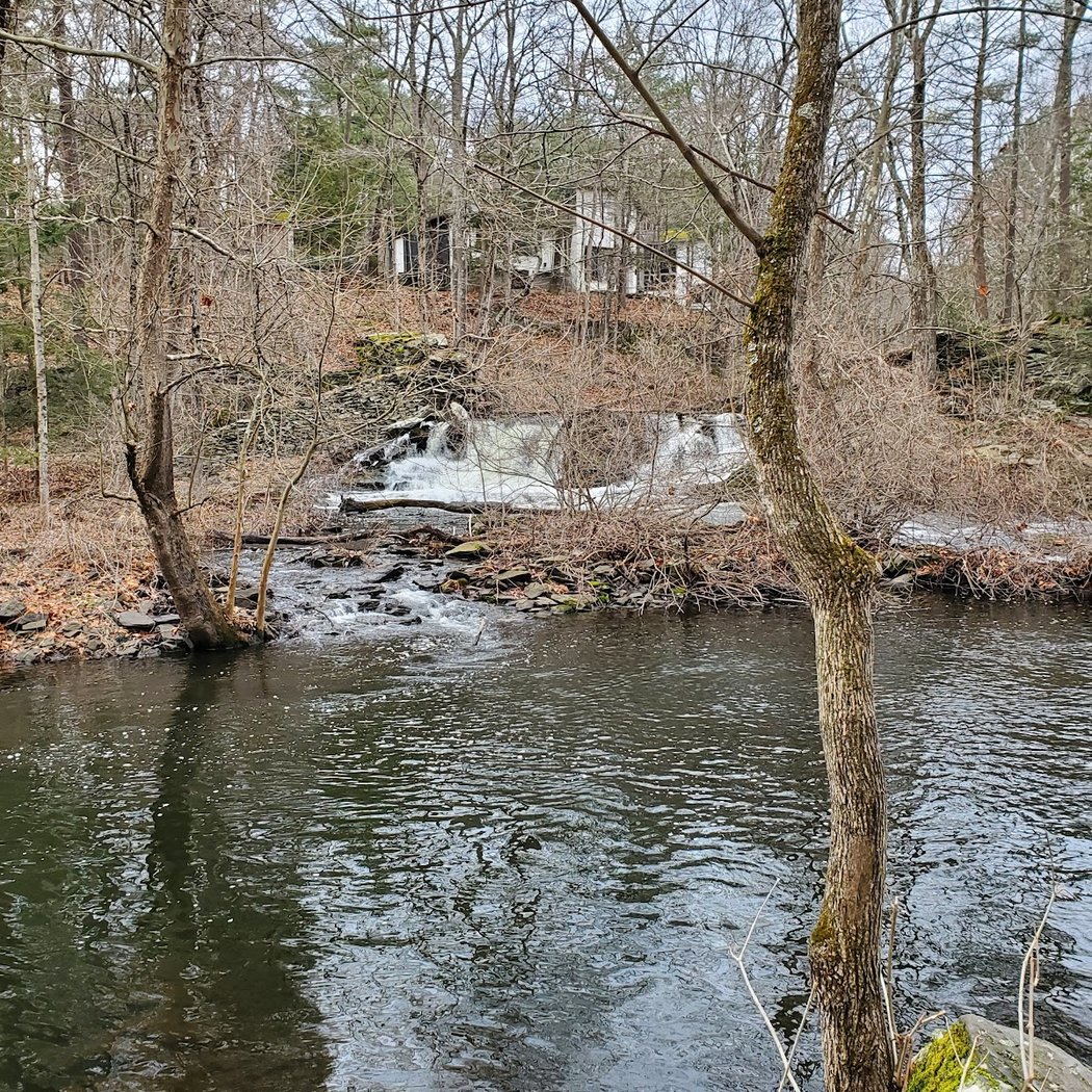 Pinewoods Park 3