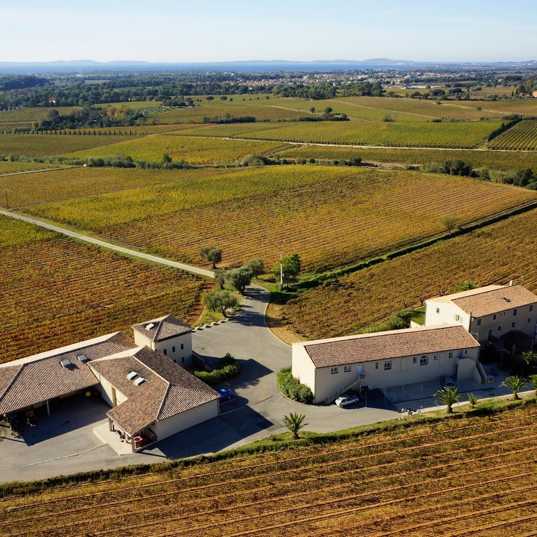 Château la Valetanne | Domaine Viticole AOC Cotes de Provence | La Londe 2