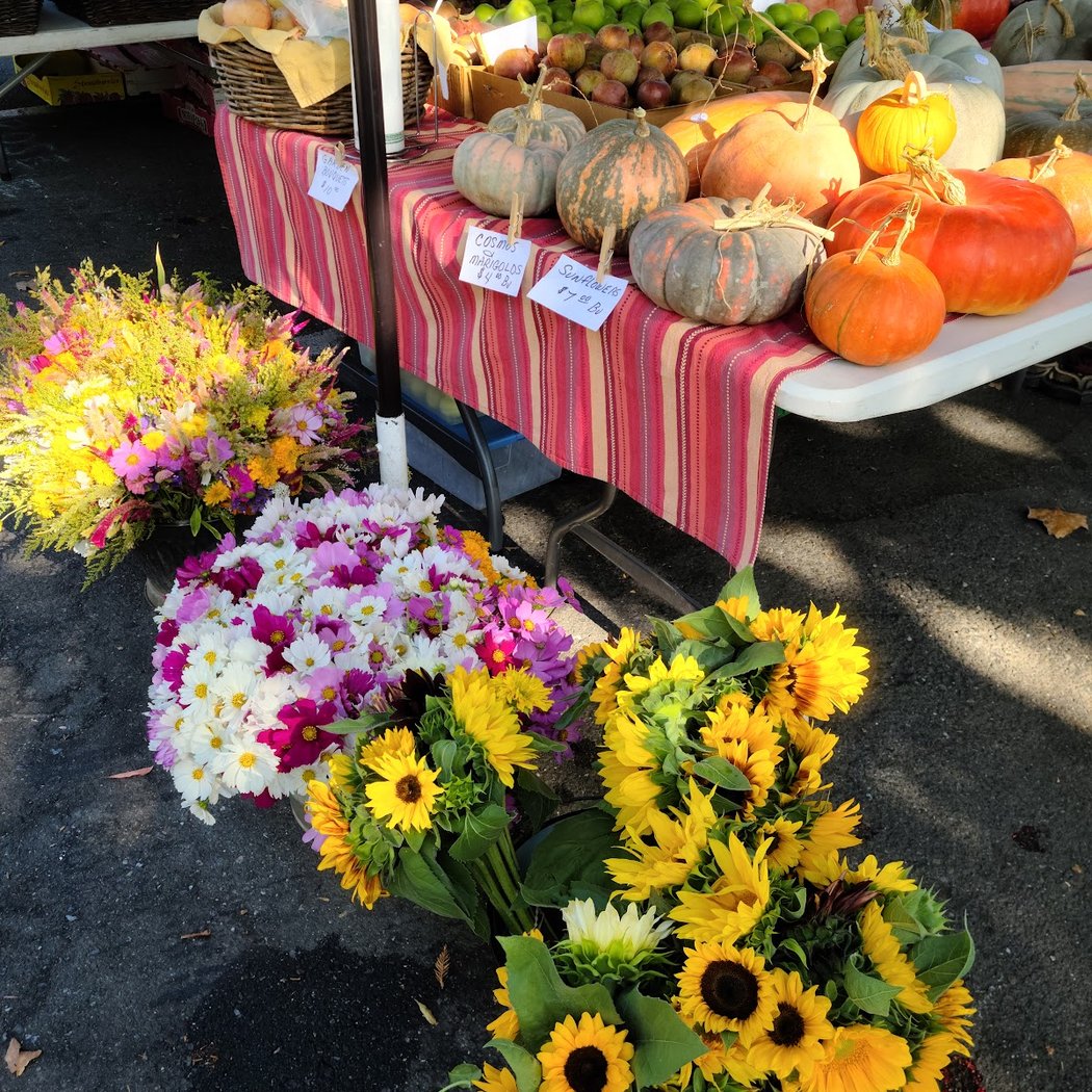 Current Farmer Market Stands 1