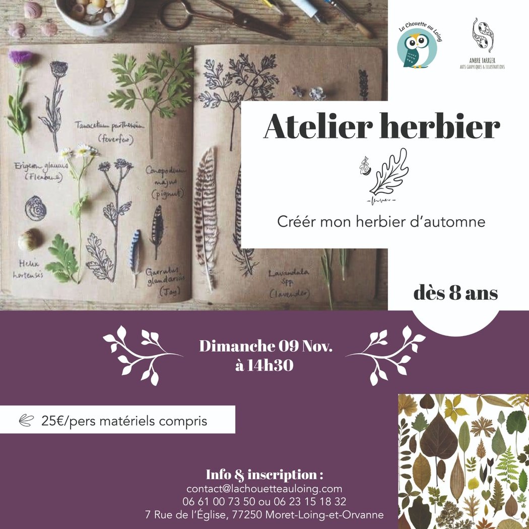 Atelier Herbier avec Ambre 1