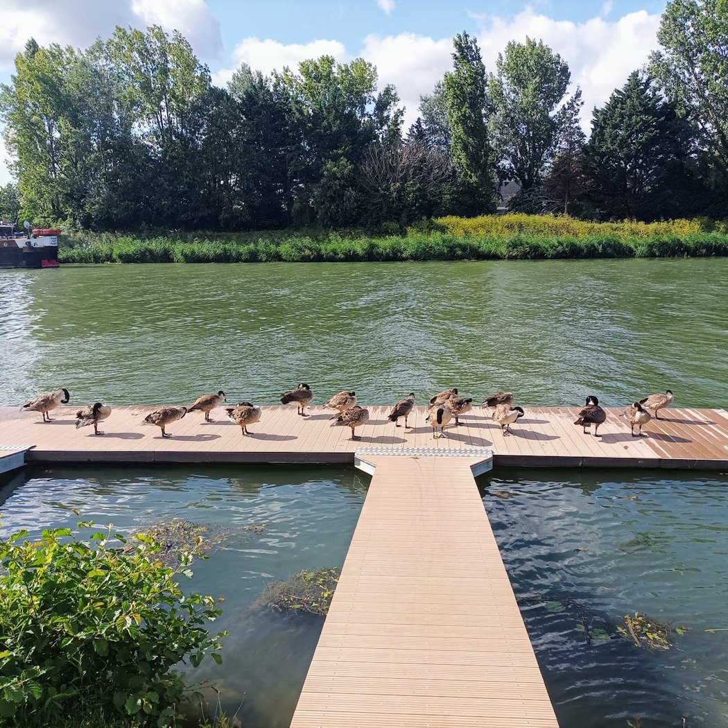 Initiation à l'aviron 3