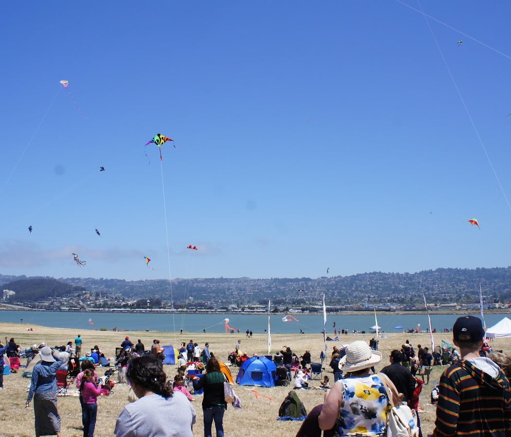 Berkeley Kite Festival 3