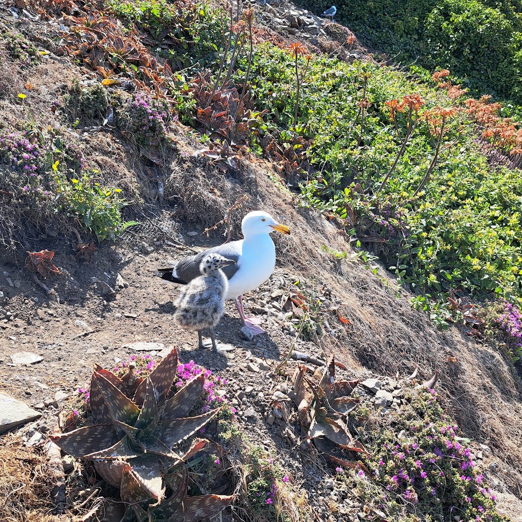 Barker Beach 3
