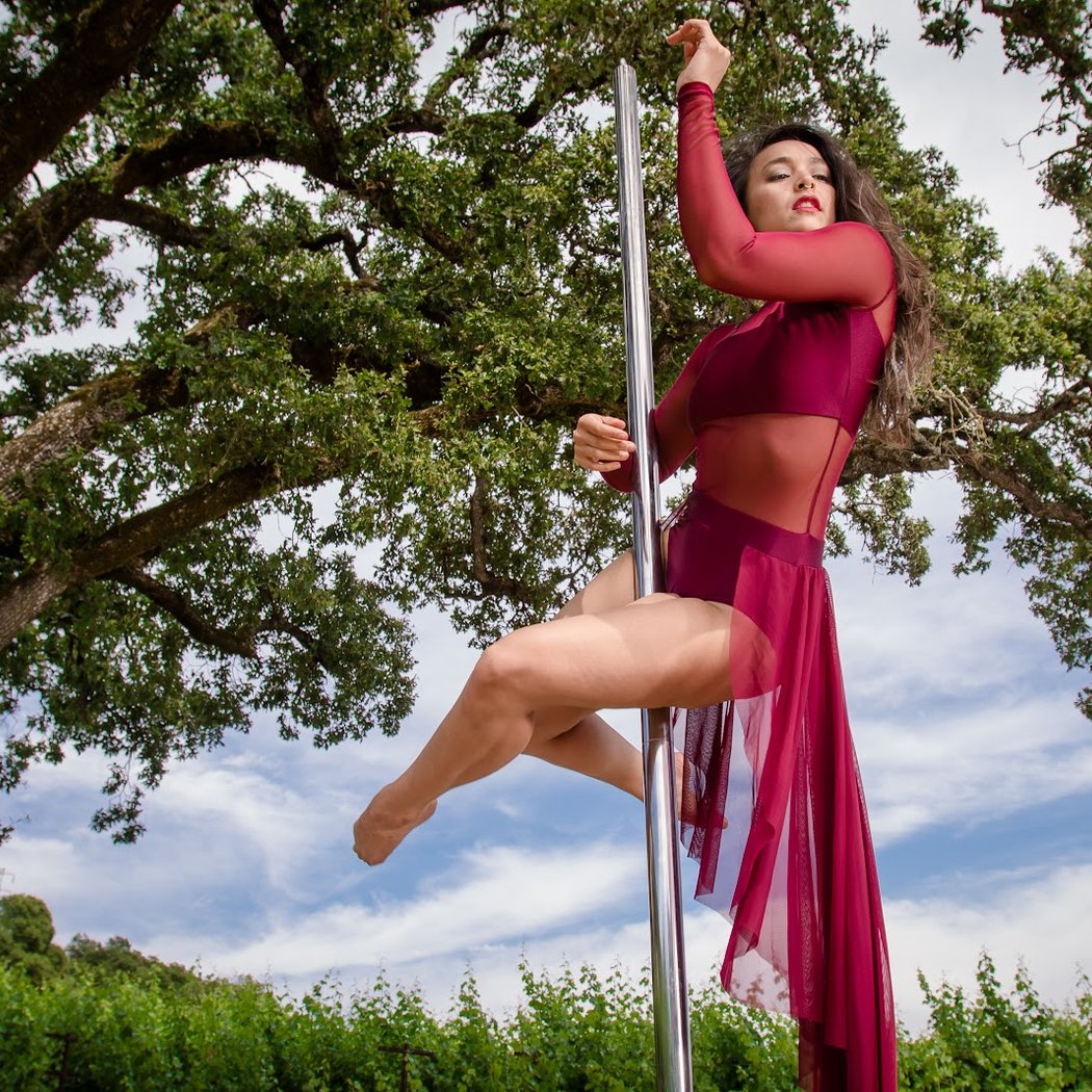 The Vertitude Santa Rosa Pole Dance Studio 2
