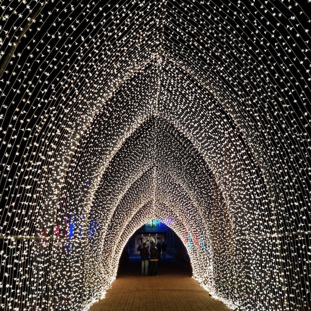 Lightscape