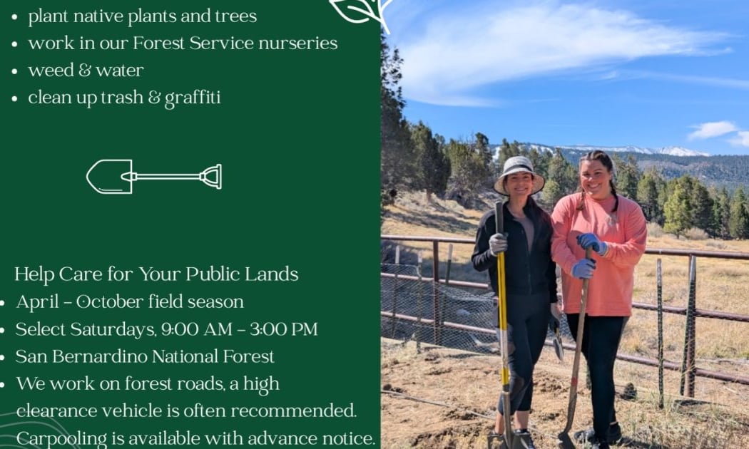 Green Thumbs Forest Restoration 2