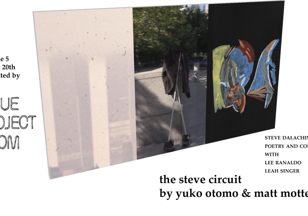 The Steve Circuit 1