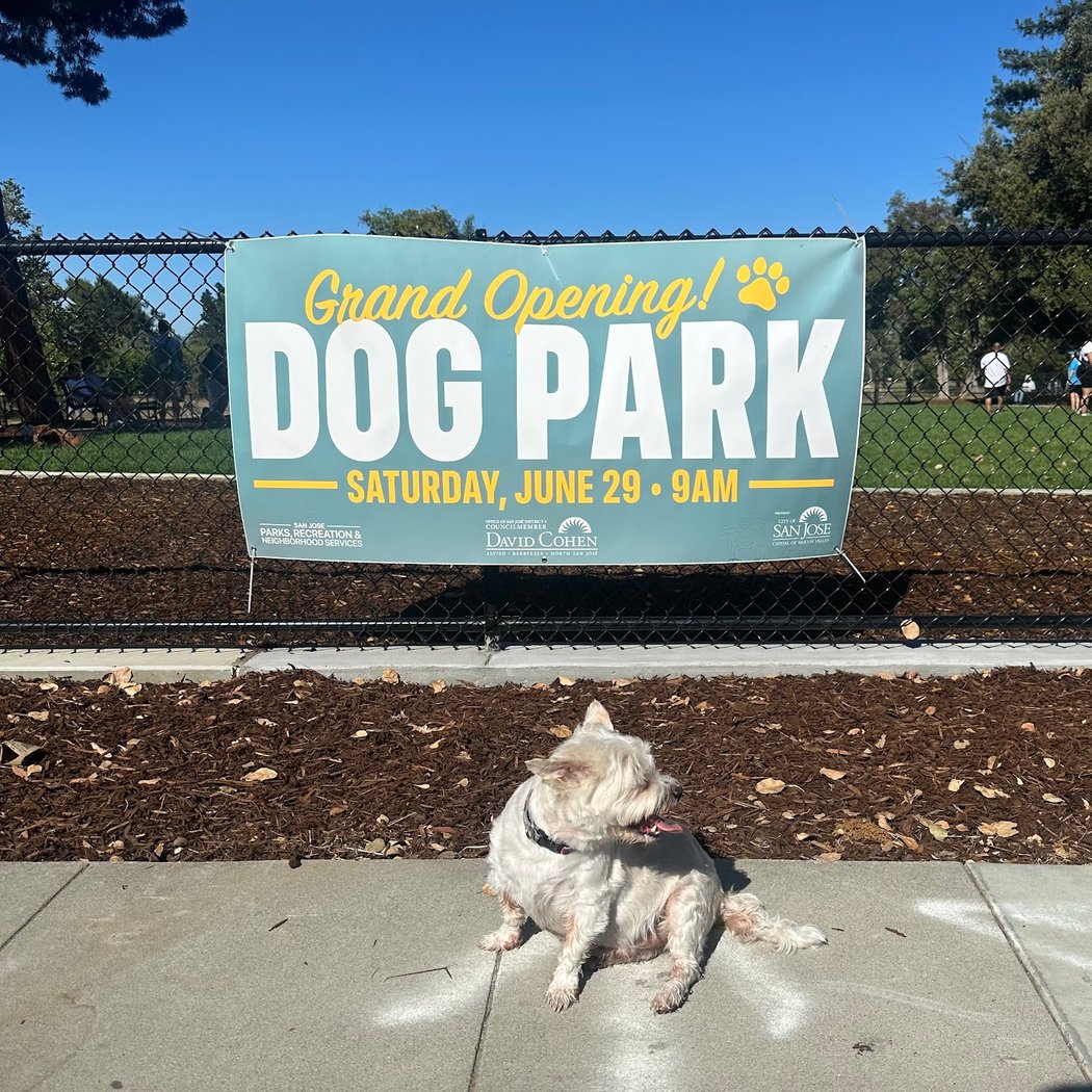 Piedmont Road Dog Park 1