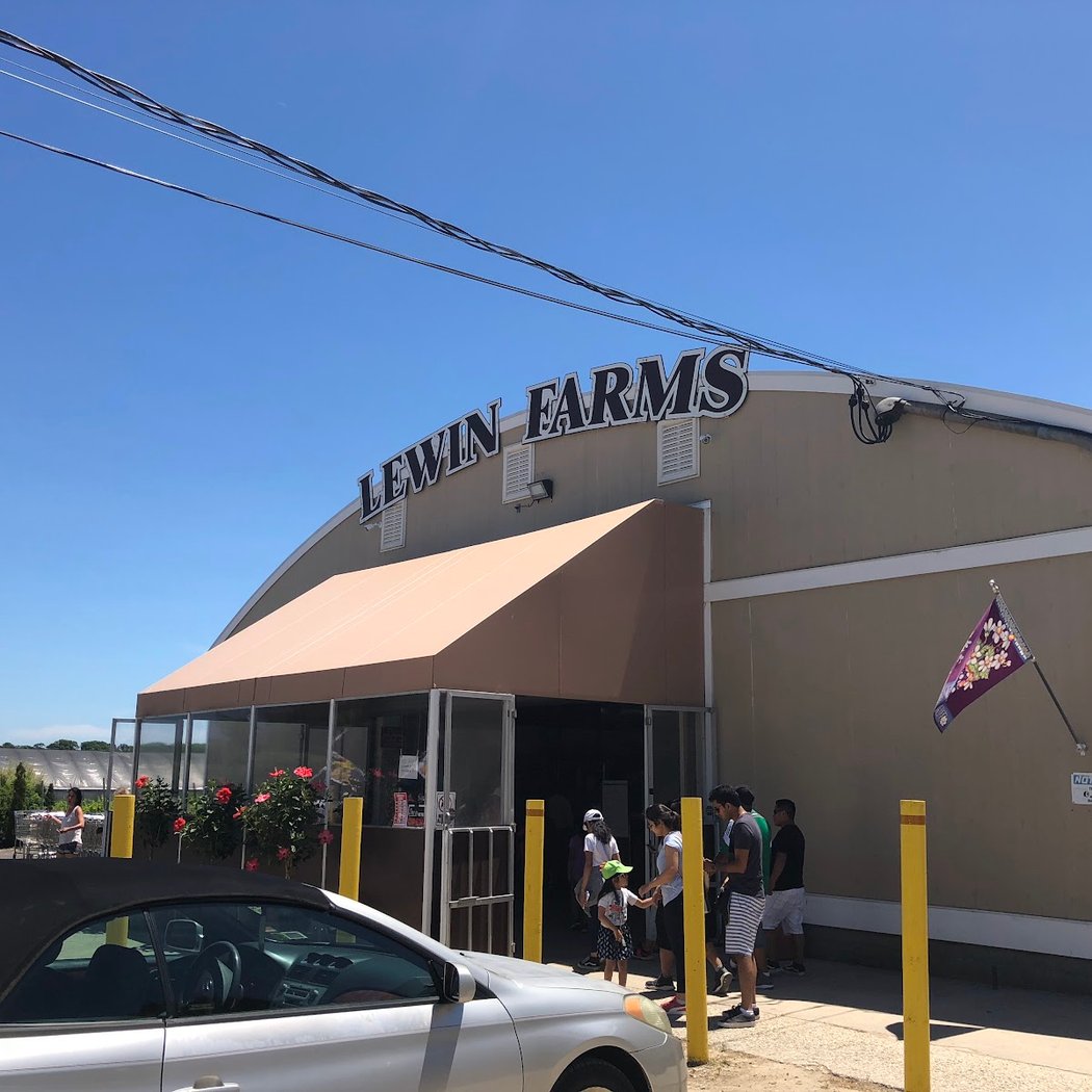 Lewin Farms 3