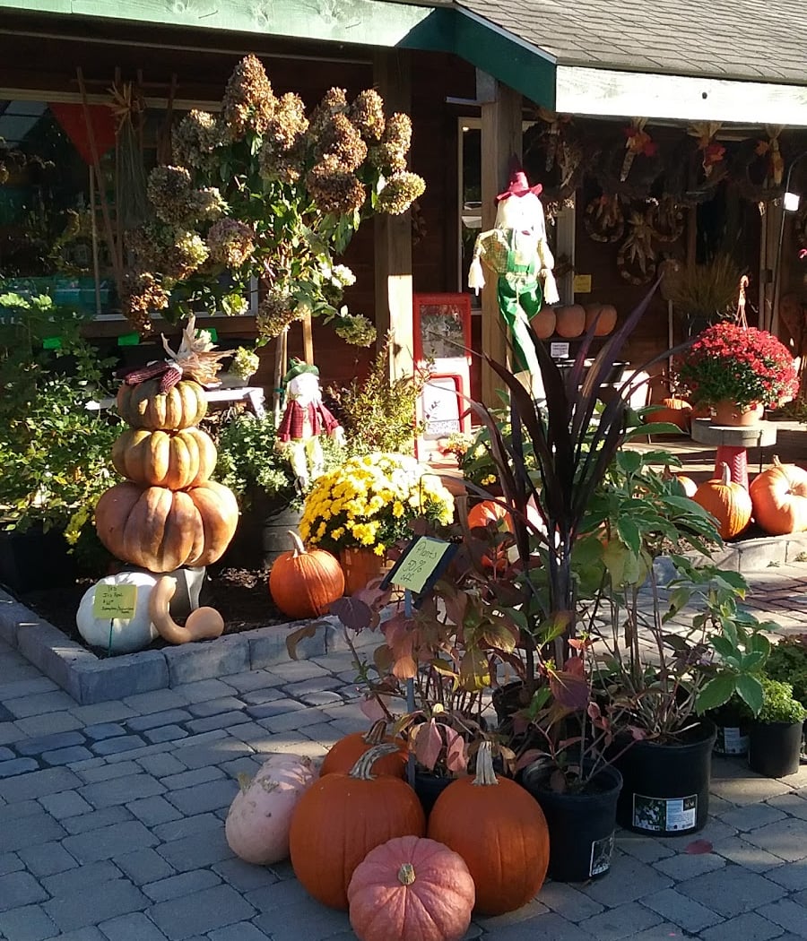 M & M Garden Center & Supply 2