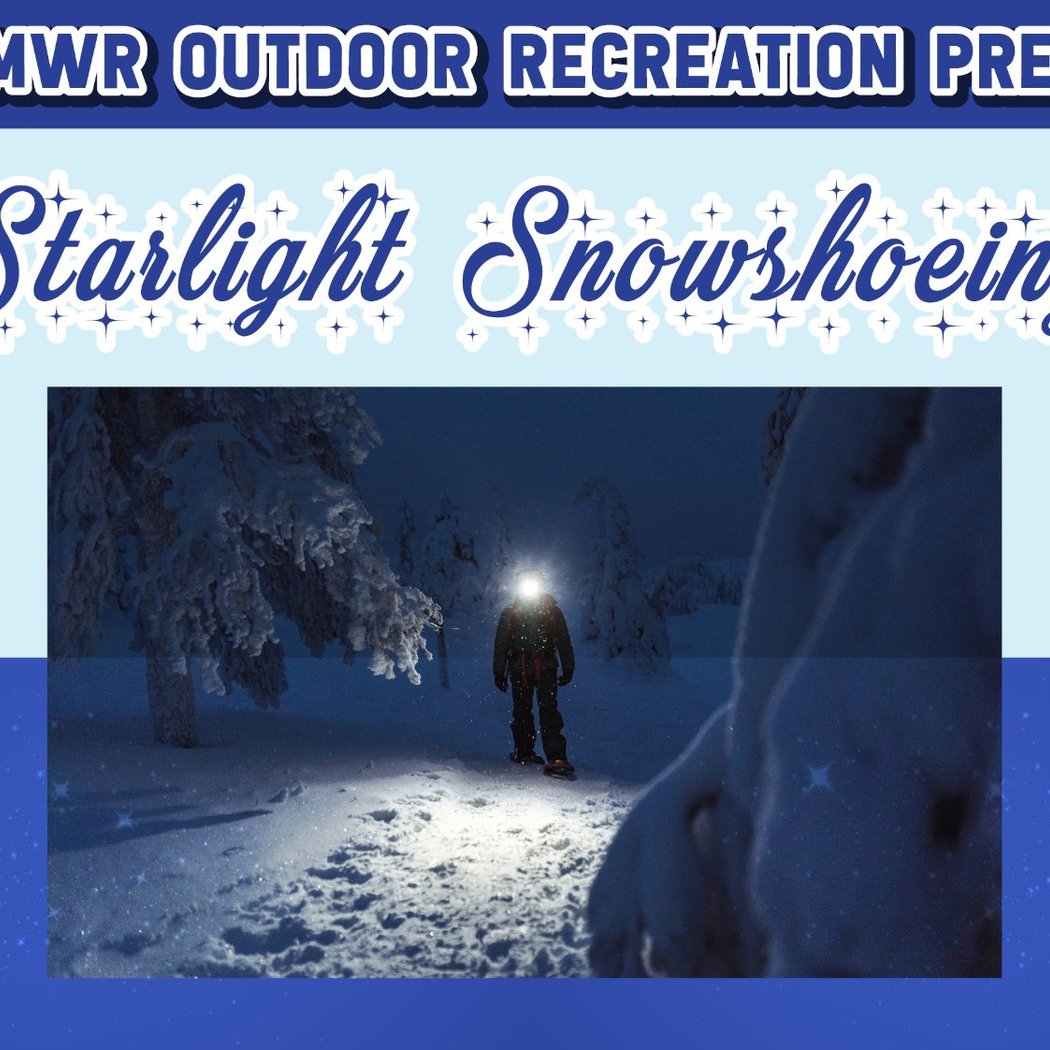 Starlight Snowshoeing 1