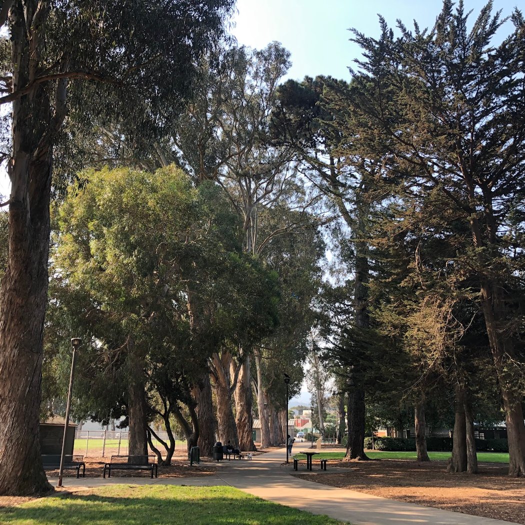 Orange Memorial Park 2