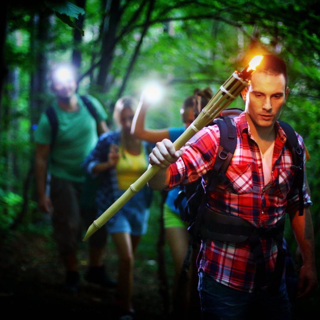 Escape Forest 2
