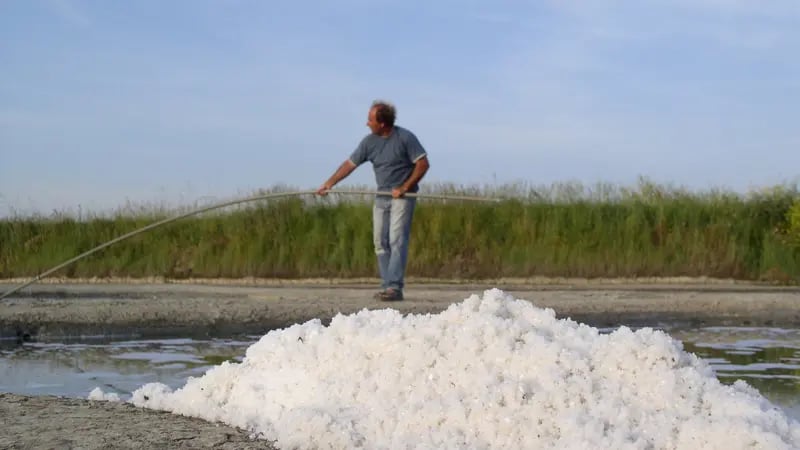 Visite de saline - Nicolas Arnould 2