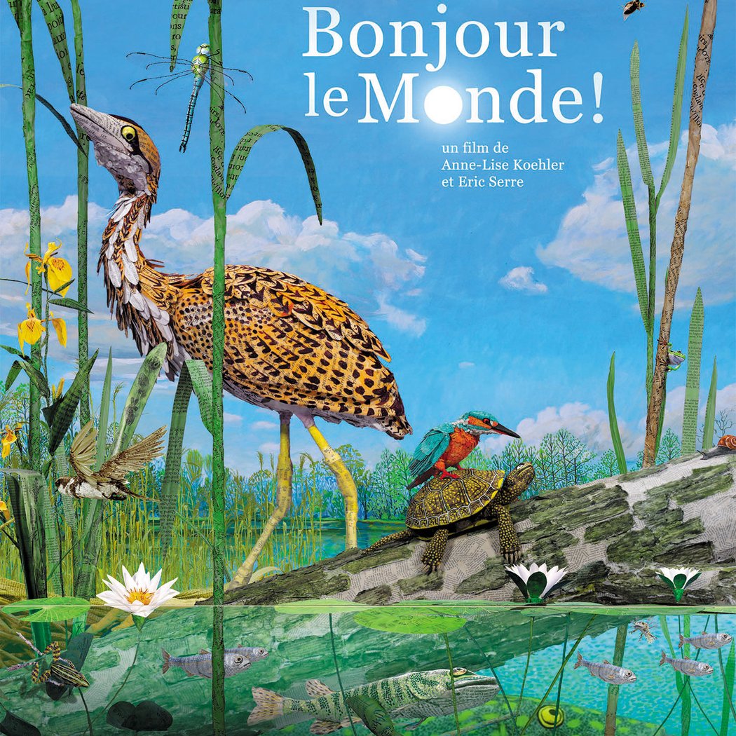 BONJOUR LE MONDE ! 1