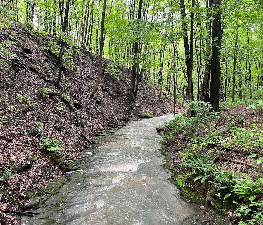 Austintown Township Park 4