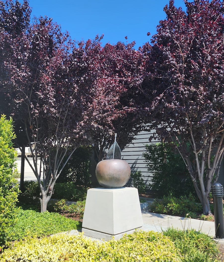 Panhandle Park 3