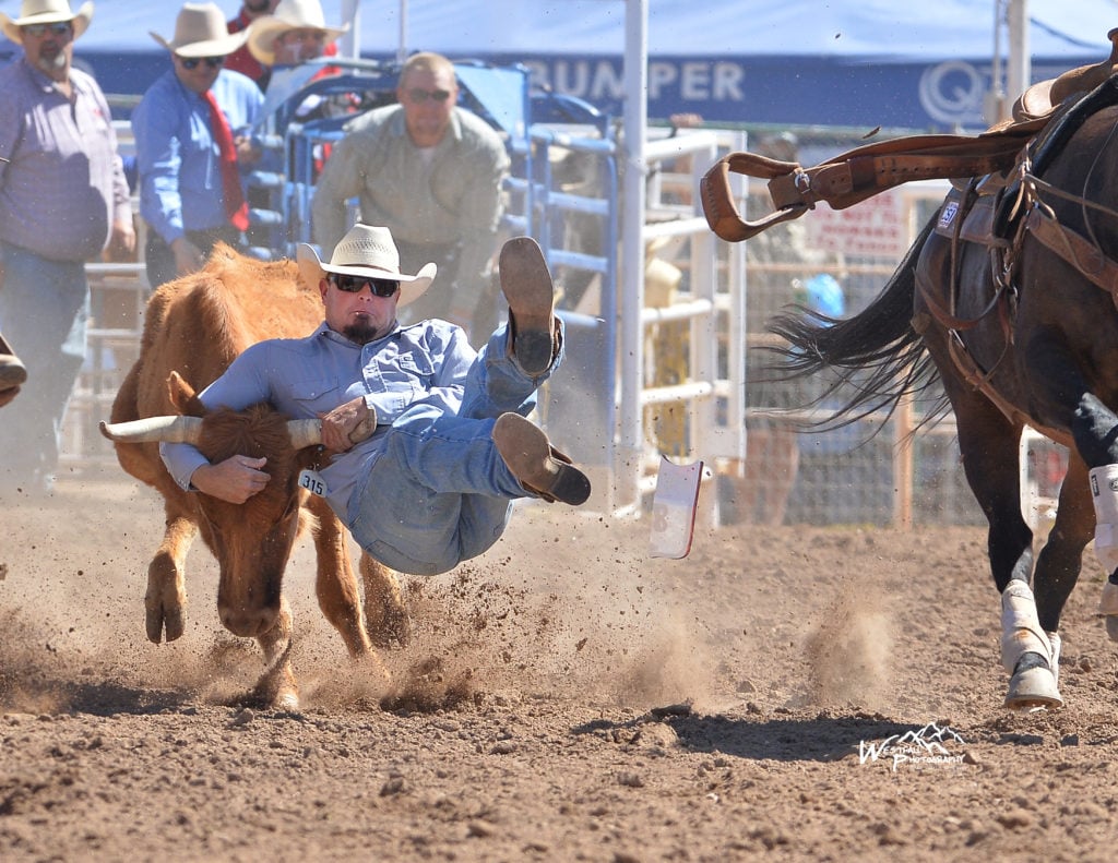 Turquoise Circuit ProRodeo 1