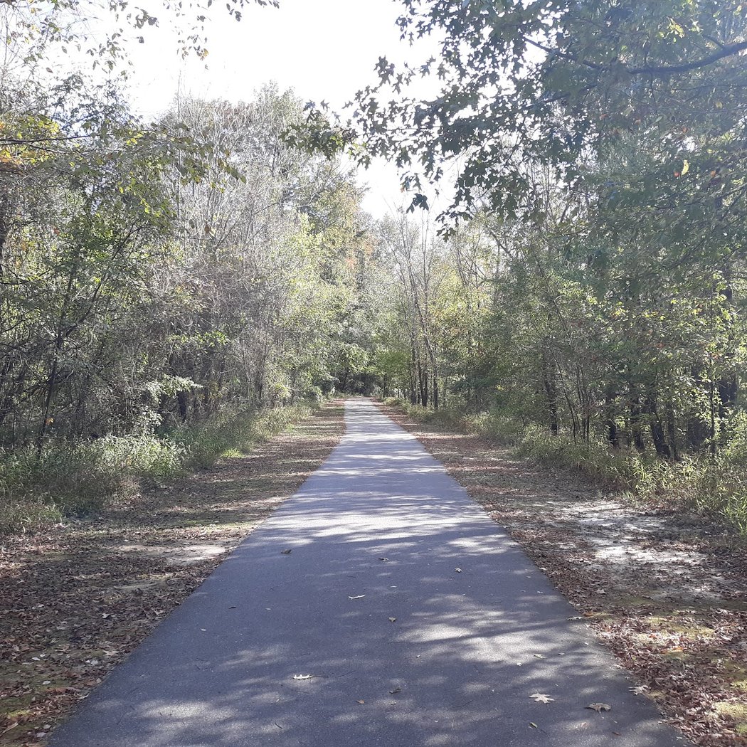South Tar River Greenway 2