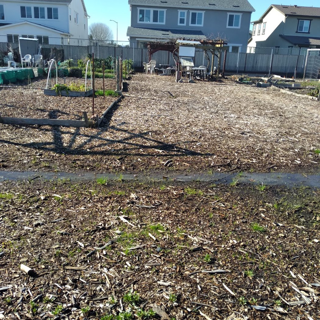 Rohnert Park Community Organic Garden 3