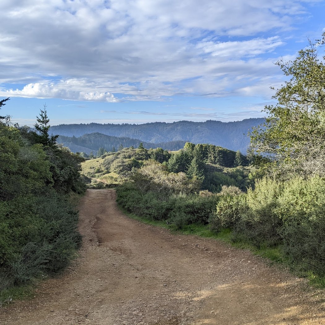 Carson Falls Trail 3
