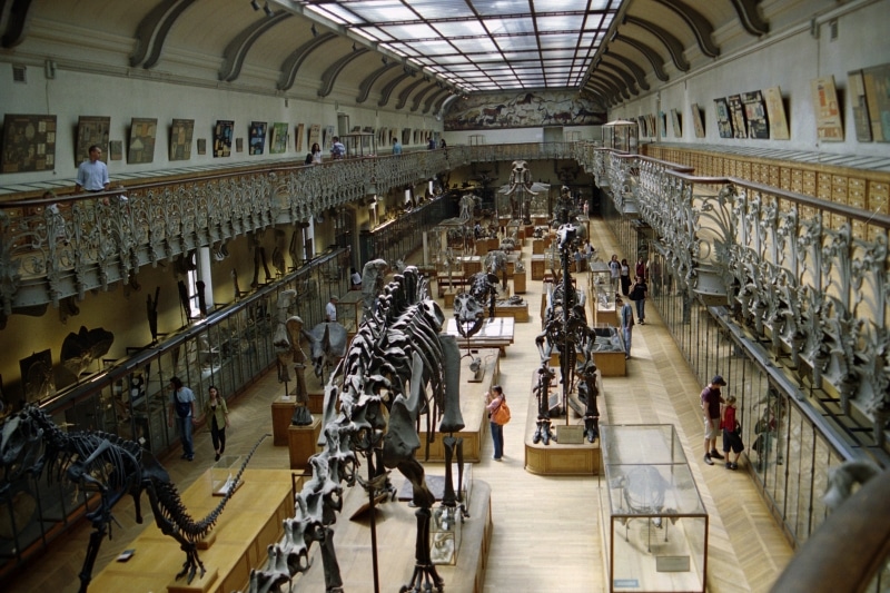 Galerie de Paléontologie et d’Anatomie comparée 2