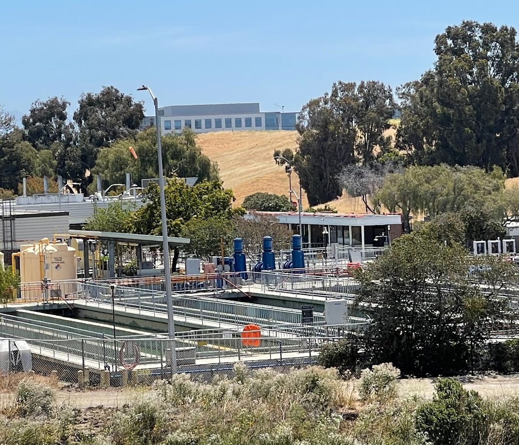 Lunchtime Birding at Sunnyvale Water Pollution Control Plant 3
