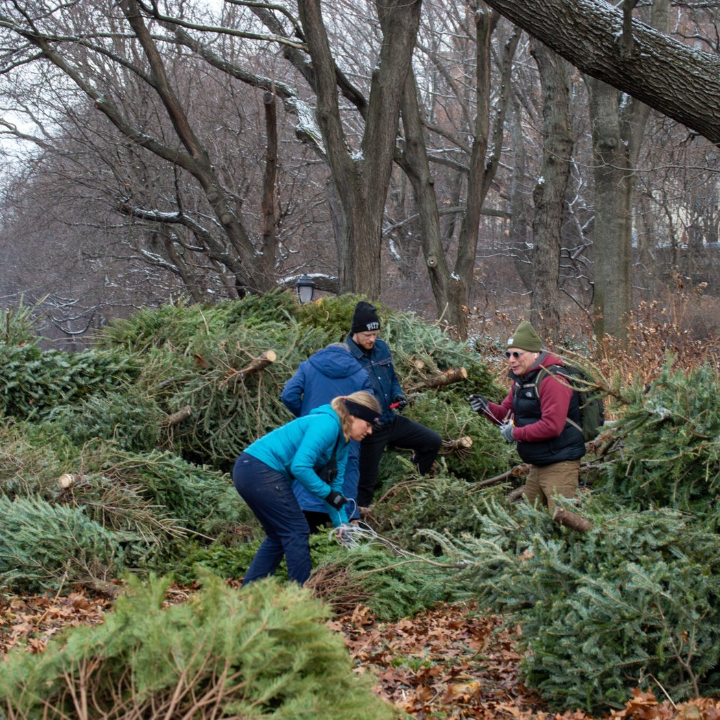 NYC MulchFest 2026 1