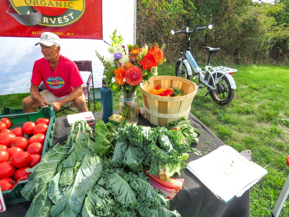Harvest Fair 5