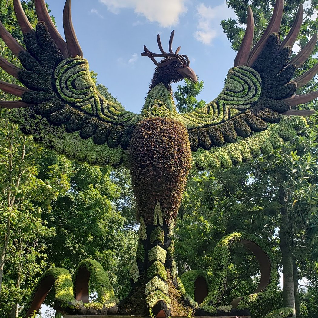Atlanta Botanical Garden 2